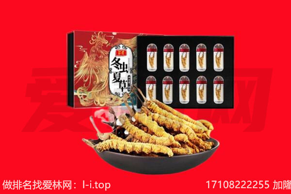 沧州回收虫草.jpg